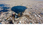 Help The Oceon