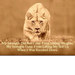 Save the animals BFFs