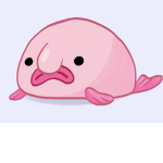 BLOBFISH ARE NOT UGLY