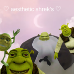 aesthetic shrek's
