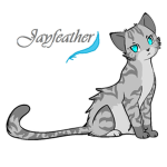 Warrior Katz