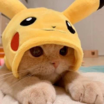 لًًًًوًًًًرًًًًًً