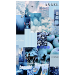 The mya family