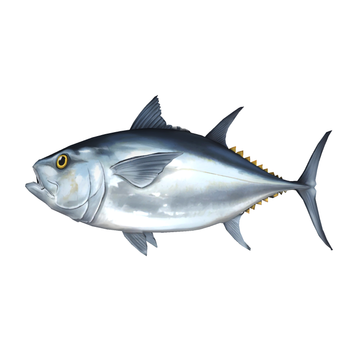 Big Tuna Catch