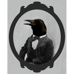 Official Shadow Ravens Training