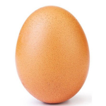 eggs and more eggs