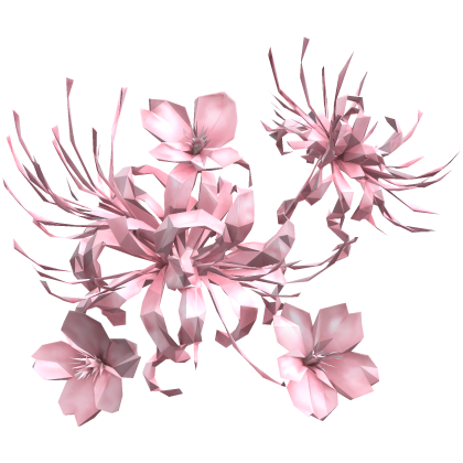 美しい花 baby pink spider lily flower cluster