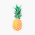SweetPineapplesRockers