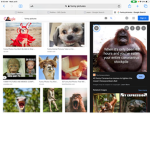 Void_ group