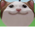 Cat meme group!