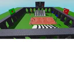 4K BacketBall