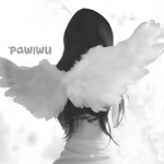 ʚ pawlwu