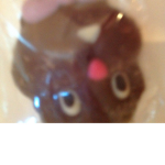 Bunny and pigs