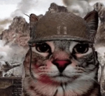 Warriors of Fire.