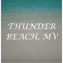 Thunder Beach 🏖️ | RP icon