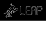 LeapGamingStudios