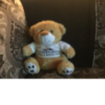 Tedy the tedy bear group