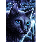 WarriorCatRpGroup<3