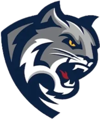 Miami Central Football Progam Roblox group icon