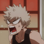 My hero academia super students!