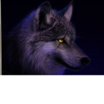 Black x Wolfs