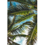 The Tropical Angels
