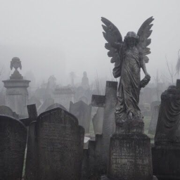 Unspoken Sorrows