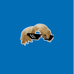 CreatorCJ Group