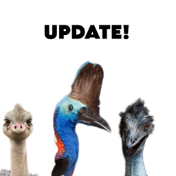 Bird RP!