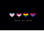 The girls, the gays and the theys