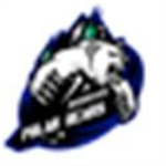 Roblox PolarBears Hockey