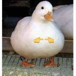 jdnwiudnwldnwa