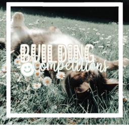Building comp - spring -