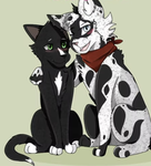 CATS ARE AWESOMELY CUTE
