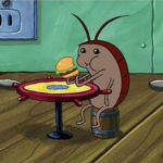 The poor roaches