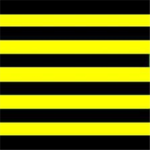 The Bee Colonization