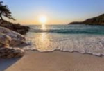 seashell <3