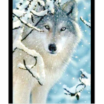 Snow wolf gang