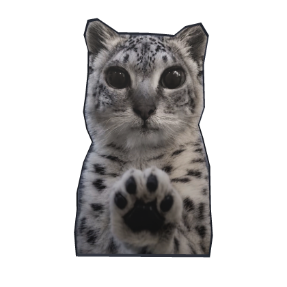 Snow Tiger Cat Hat