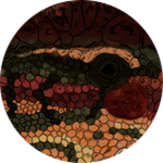 PRISMATIC Bloodstone Sauropelta Unlocked!
