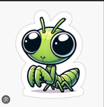 Partying bugs