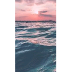 The sunsets.