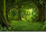 Wild Life In The Dark Forest