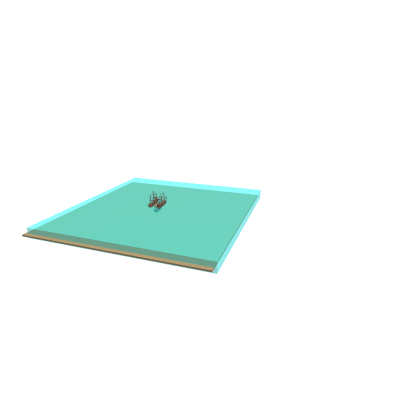 pirates