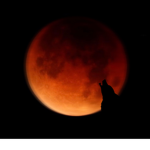 The BloodMoon Gang