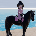 Daisy Equestrian