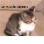 Insanos UA