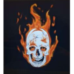 the skullgamer club