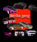 STRIKA TEAM