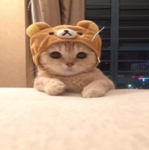 bleepblorpzoopglorp
